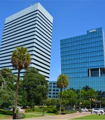 IRS & FL Department of Revenue Representation